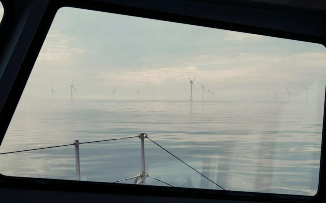 Parchi eolici giganti sorgono al largo della Scozia