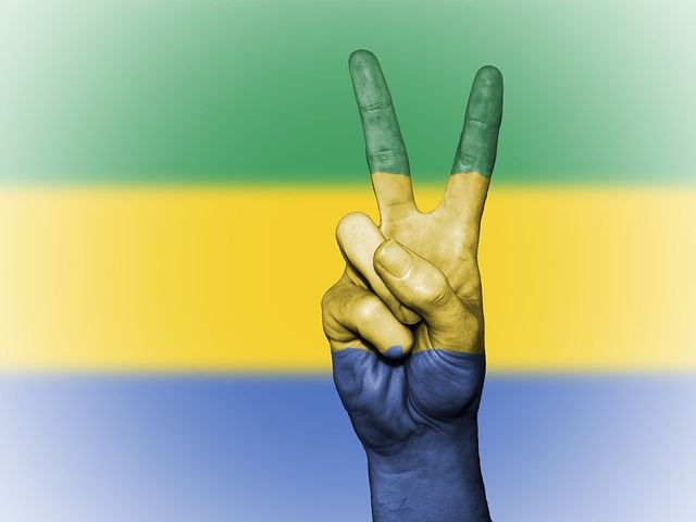 Gabon Foto di David Peterson da Pixabay